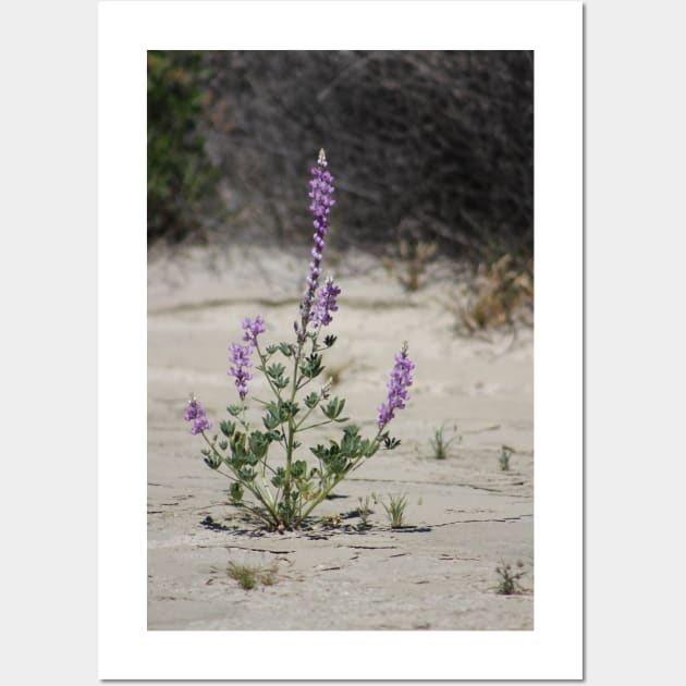 Purple Lupine in the Desert Oasis Wall Art by ButterflyInTheAttic